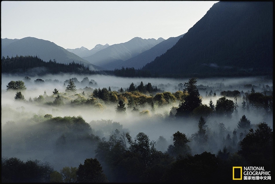 奧林匹克國家公園，華盛頓州攝影：Sam Abell，國家地理創(chuàng)意版
