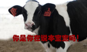 關(guān)我什么事！