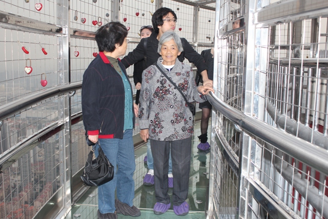 女主播陪同老人體驗(yàn)中原福塔的“空中漫步”