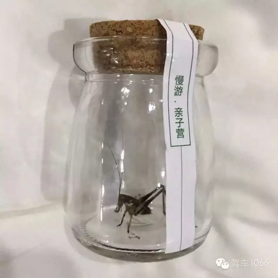 看看我的成果吧！
