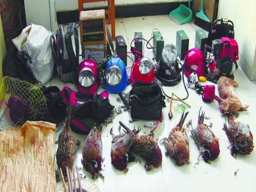 森林警方查獲的部分播放機(jī)、礦燈和獵殺的野生動(dòng)物等