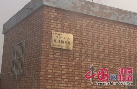 周口項城縣高洼肉雞養(yǎng)殖場