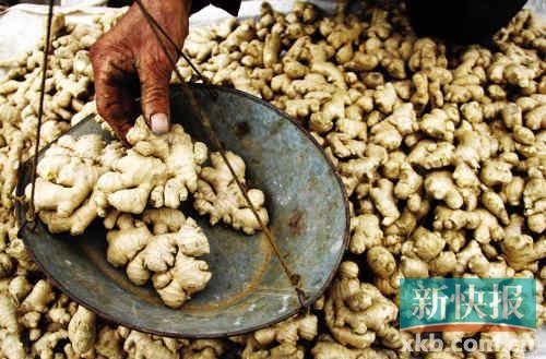 “姜你軍”卷土重來(lái) 供應(yīng)不足今年姜價(jià)恐難降