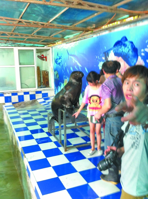 海獅館內的攝影師警惕性很高,禁止記者拍照。