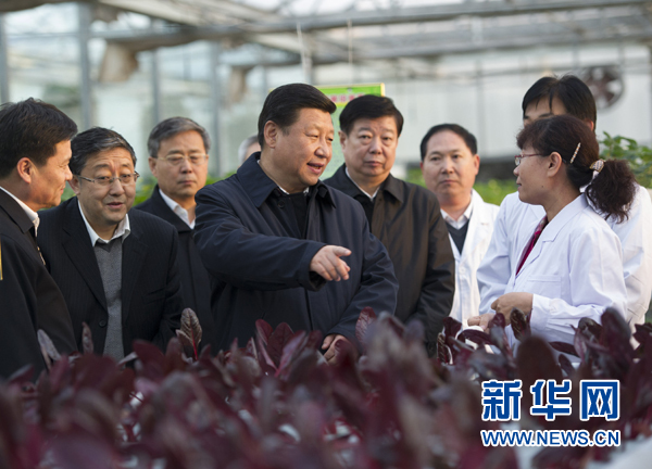  27日下午，習近平在山東省農(nóng)業(yè)科學院智能化溫室了解農(nóng)業(yè)科技創(chuàng)新情況。