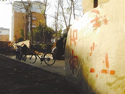 昨日，“上海奇石盆景博物館”原址上，已矗立起小區(qū)樓盤，而刻著博物館名的巨石，廢棄在一旁。本版圖片/新京報(bào)記者 張永生 攝