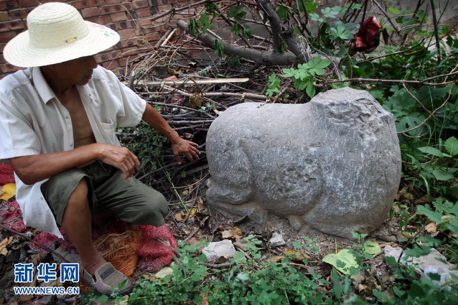 朝陽鎮(zhèn)后李村業(yè)余文保隊員，今年65歲的李連堂在上世紀平整土地時候，從地里挖出一個石羊殘身，至今仍放在