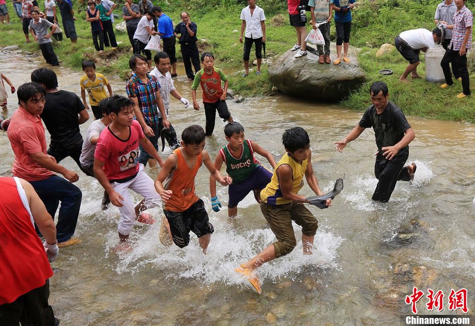 7月9日，村民在小河里摸魚搶魚。譚凱興 攝