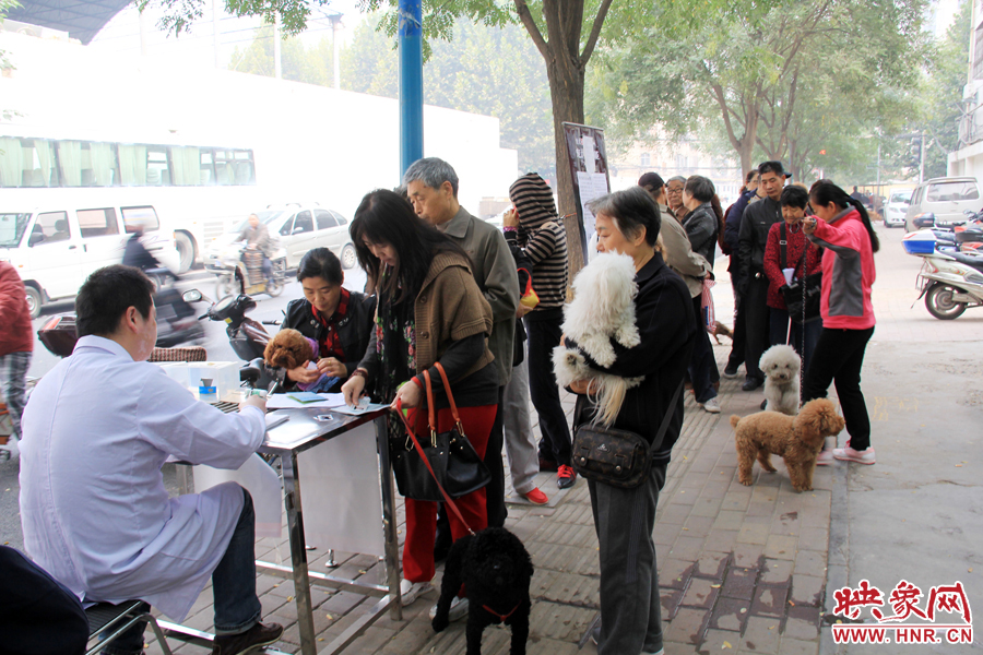 早上8點多，鄭州城市養(yǎng)犬金水區(qū)辦證點已經排起了長隊