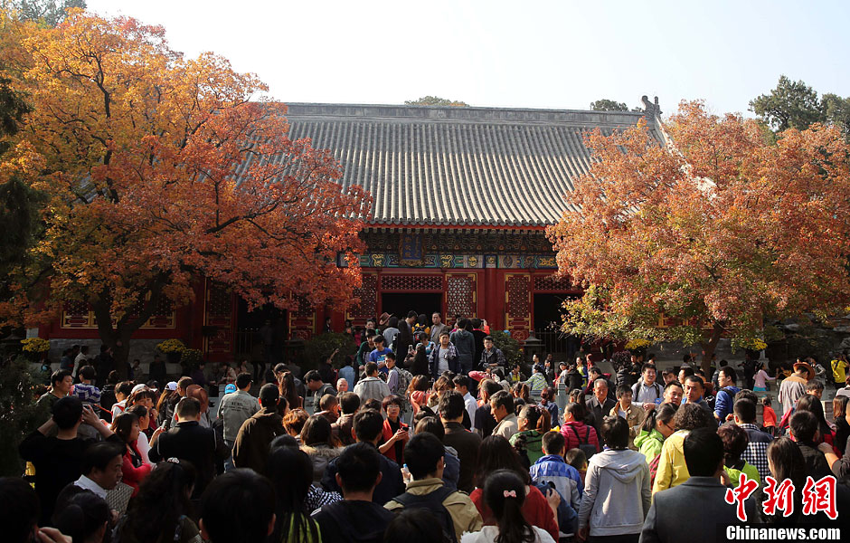 　10月26日，北京香山公園內(nèi)游客摩肩接踵。