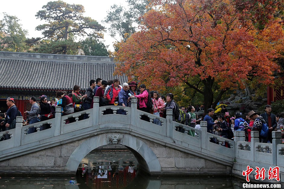 　10月26日，北京香山公園內(nèi)游客摩肩接踵。