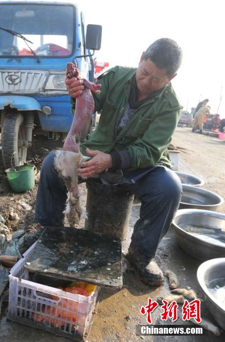 圖為12月1日，104國道靜?？h城附近，顧客挑好后，商販拎著死兔將皮完整地扒下來。田寶希 攝 圖片來