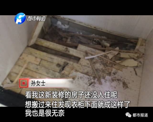 蟻?zhàn)宕筌娙肭?！十幾萬(wàn)裝修的新家被“吃掉”