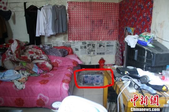 圖上紅圈內(nèi)為嫌犯所挖地窖入口。 吳佳蔚 攝