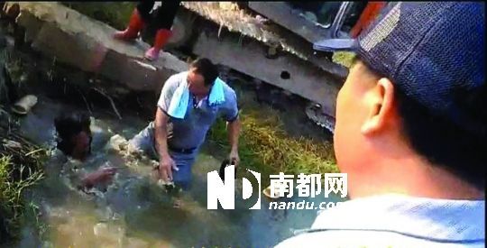 男子沒入水塘后試圖反抗，遭戴黑帽男子毆打。視頻截圖