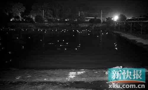 昨日，西湖村鱷魚養(yǎng)殖場已修復圍欄。
