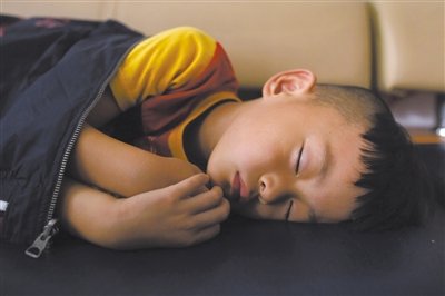 9月6日，等待錄制節(jié)目的多多躺在沙發(fā)上熟睡。新京報(bào)記者 侯少卿 攝