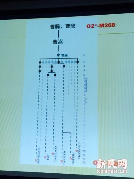 圖說：復旦課題組發(fā)布曹操家族DNA研究結(jié)果。新民網(wǎng) 記者 李欣 攝