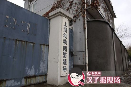 圖說：新民網(wǎng)記者趕到時，上海動物園繁殖場大門緊閉。新民網(wǎng) 記者 蕭君瑋 攝