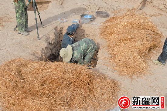 考古人員正在清理麥稈。（圖由中國(guó)科學(xué)院人文學(xué)院科技室與科技考古系提供）