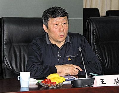 國家能源局新能源和可再生能源司司長王駿。
