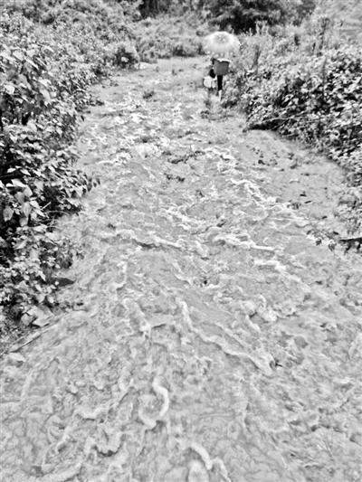 梅子回家的山道，晴天是路，雨天是河