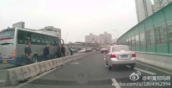 圖說:網(wǎng)友發(fā)布的老外在高架上行為不雅的照片。