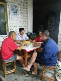 掃水掃不及，胥家鎮(zhèn)柏河村的居民干脆打起了麻將。
