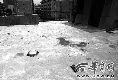 藏獒就養(yǎng)在這個樓頂，孩子從欄桿處墜落 本報記者 趙航 攝