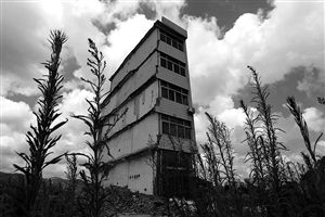 這幢5層的“片片樓”周圍已是一片拆遷后的廢墟，左邊的一堵墻上，不少鋼筋裸露在外面 圖片來源：新華網(wǎng)