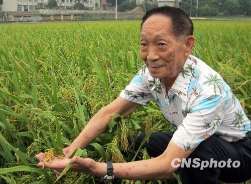 印度農(nóng)民稻米單產(chǎn)創(chuàng)世界紀錄袁隆平批吹牛皮