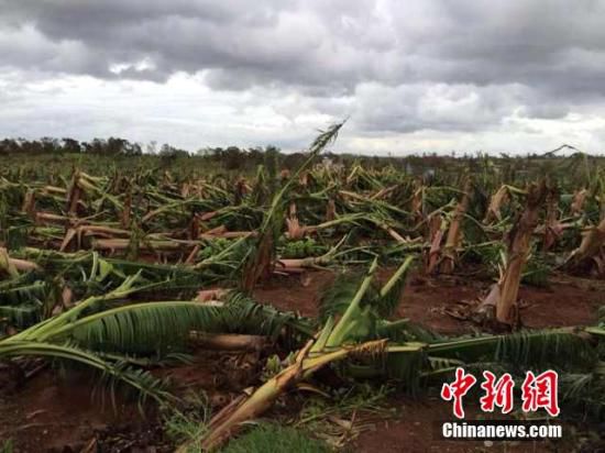 臺風(fēng)“威馬遜”在越南肆虐引發(fā)泥石流 27人死亡