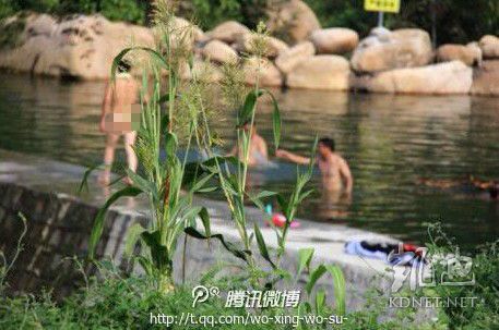 網友曝光的現場圖片。（圖片來自網絡）