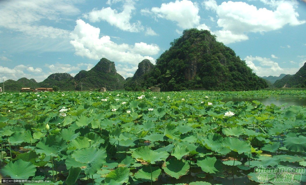 爸爸去哪兒？親密接觸荷花仙子