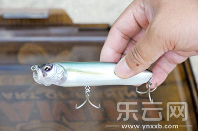 　　又稱擬餌釣魚,起源于歐洲,國內(nèi)翻譯為“路亞”。