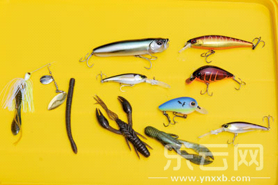 　　又稱擬餌釣魚,起源于歐洲,國內(nèi)翻譯為“路亞”。