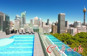 酒店屋頂游泳池俯瞰公園美景。