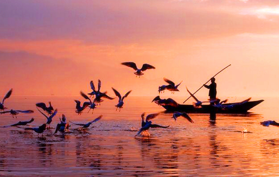 冬季正是觀(guān)鳥(niǎo)時(shí) 省內(nèi)觀(guān)鳥(niǎo)地盤(pán)點(diǎn)