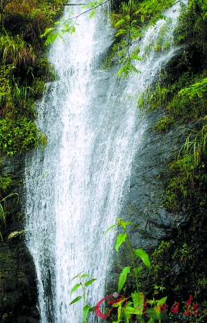 懷寶鎮(zhèn):打同年趕坡會(huì) 大山深處的派對(duì)
