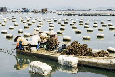 以漁為生，造就了他們不同于內(nèi)地的口味