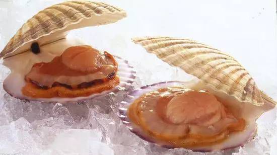 秋季最適合吃的海鮮是這10種 你吃對(duì)了嗎？
