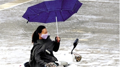 昨日下午，隴海路上，雨中風(fēng)大，一位女士的傘被吹翻了。