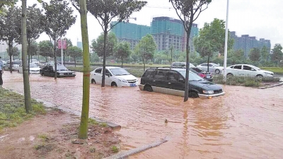 昨日，信陽突降暴雨，路面積水已淹沒輪胎。首席記者 何正權 通訊員 楊小燕 攝影