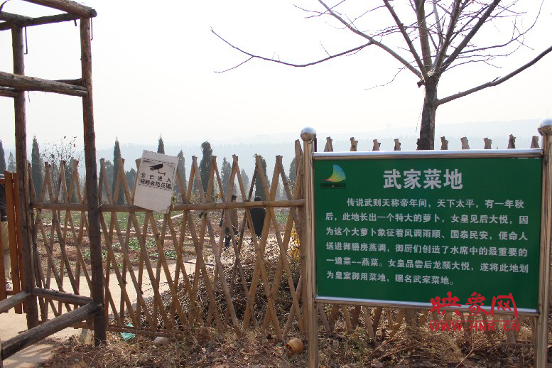 武家菜地就是這，據(jù)說里面有個特大的蘿卜