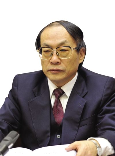 劉志軍（資料圖片）。新華社發(fā)