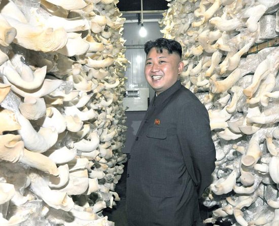 朝鮮落實(shí)經(jīng)濟(jì)十年戰(zhàn)略 欲在2020年成發(fā)達(dá)國家