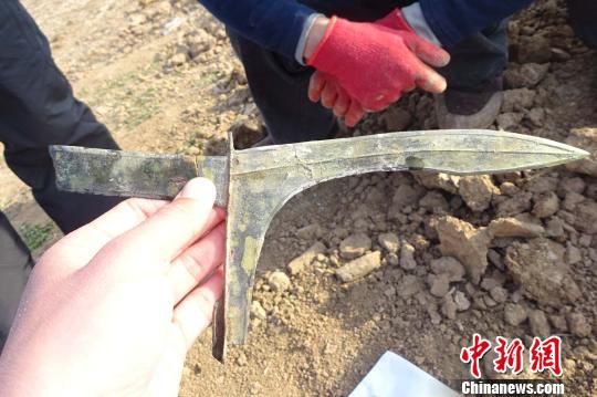 河南發(fā)掘戰(zhàn)國(guó)至東漢墓葬群 出土罕見(jiàn)青銅劍、戈（圖）