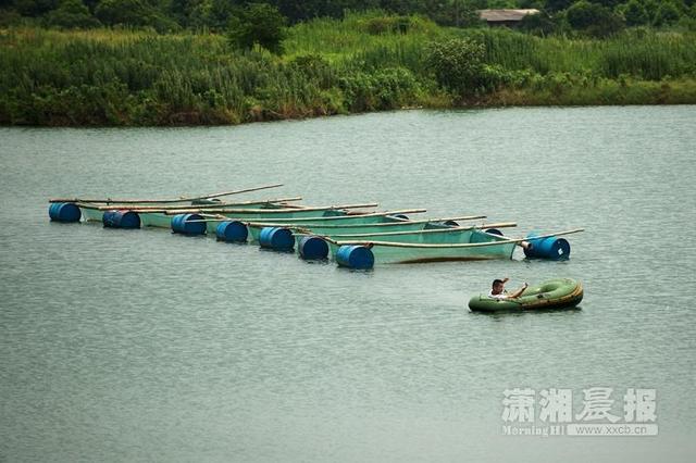 長沙“世界第一高樓”工程停擺2年 工地變漁場