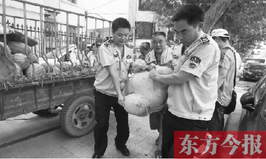 昨日，鄭州金水區(qū)執(zhí)法局的執(zhí)法隊(duì)員捐錢買瓜，替瓜農(nóng)解憂