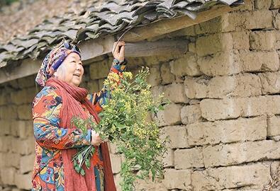 公式“時尚奶奶”的賞花照，收獲了好多人的點贊。 受訪者供圖